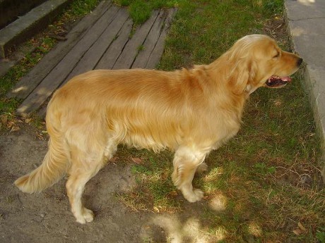 Flexi - nový sestřih 002.jpg